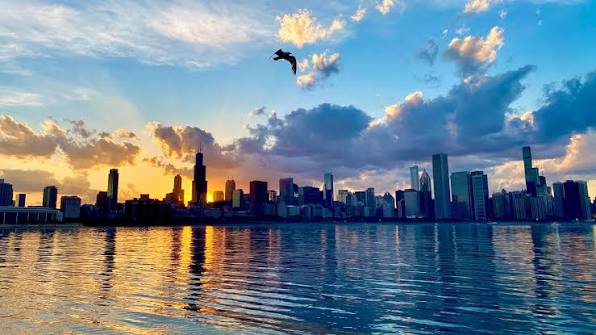 Traffic Ticket Lawyer in Chicago | Fight Your Ticket with TicketZapper